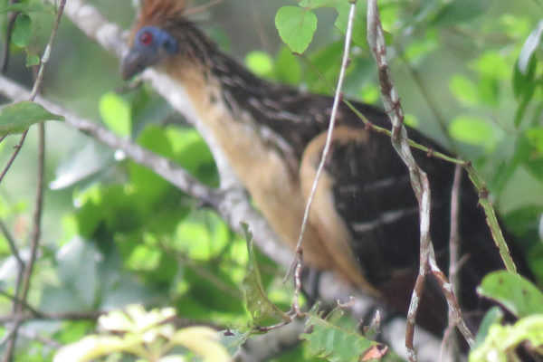 apoyo-sectores-turismo-casanare-34