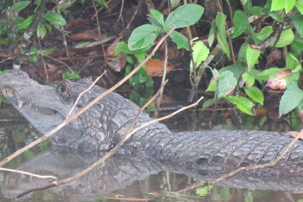 apoyo-sectores-turismo-casanare-35