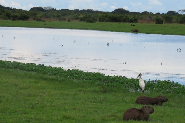 apoyo-sectores-turismo-casanare-42