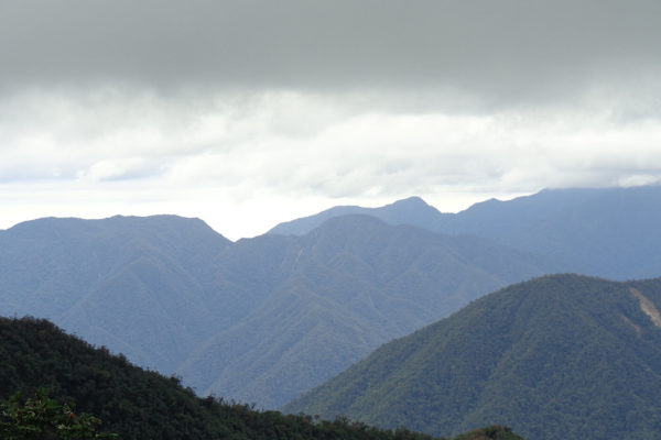 apoyo-sectores-turismo-putumayo-12