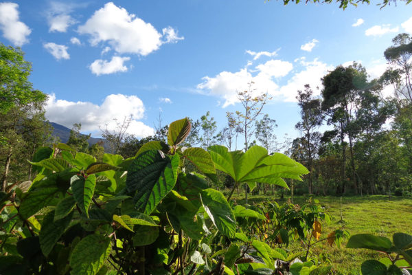 apoyo-sectores-turismo-putumayo-30