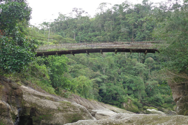 apoyo-sectores-turismo-putumayo-68