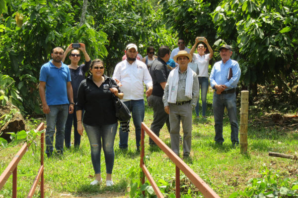 arauca-cacao-apoyo-sectores17