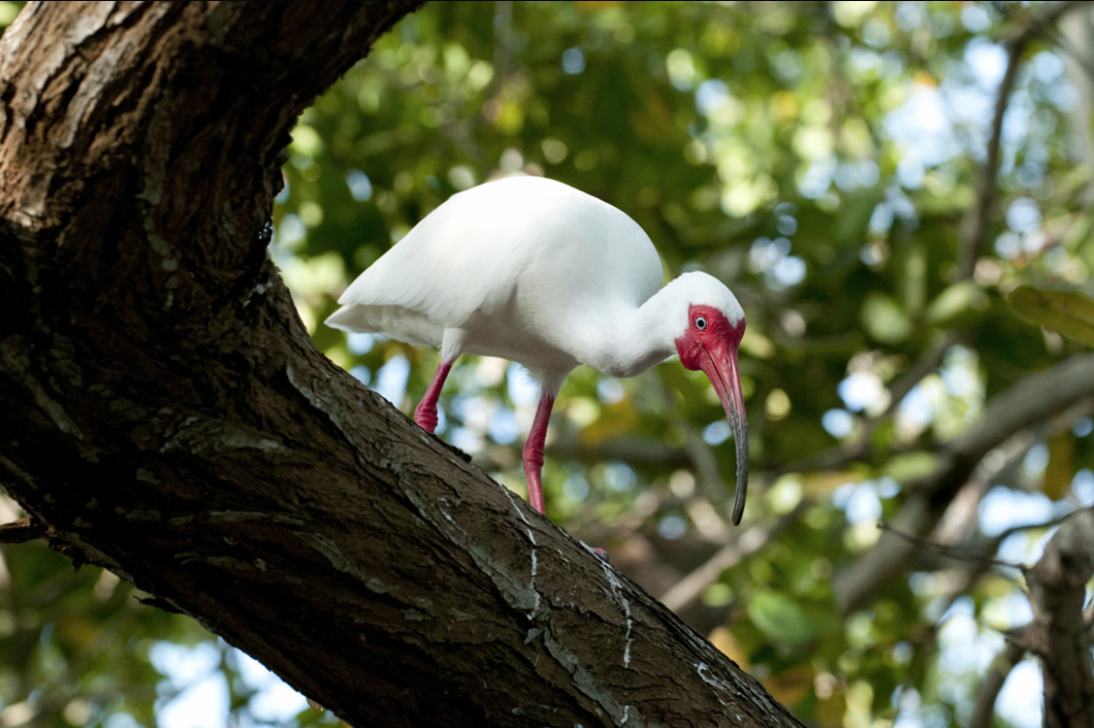 TURISMO DE NATURALEZA EN EL CASANARE SE FORTALECE CON EL APOYO DE LA EMBAJADA DE SUIZA EN COLOMBIA