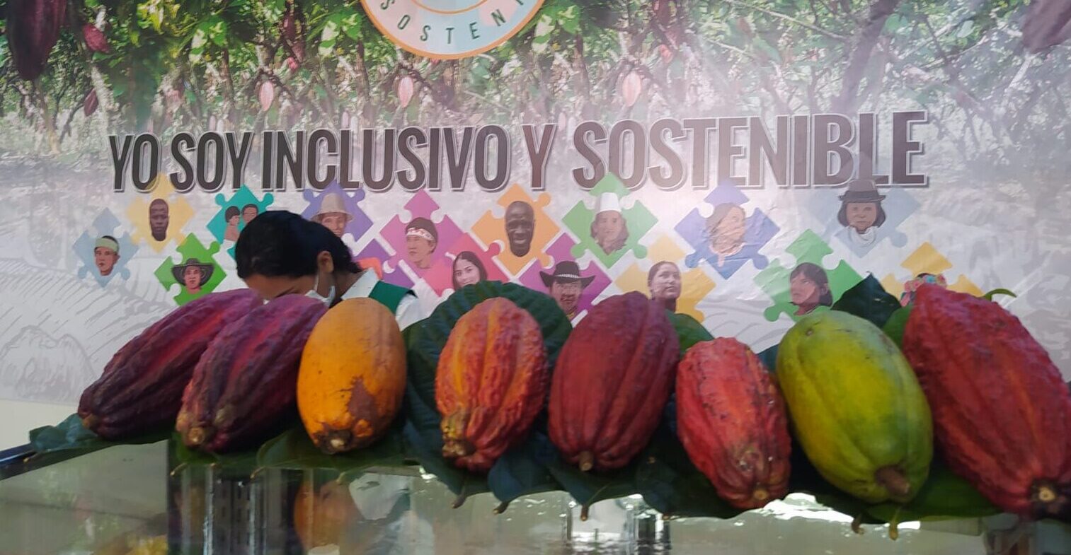 Suiza le apuesta al cacao sostenible huilense