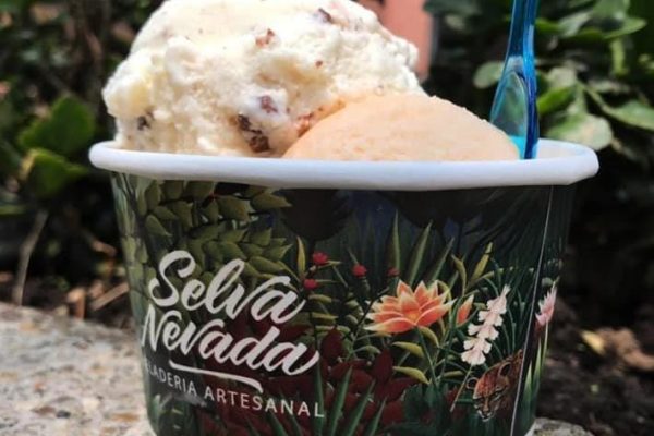 helado en vaso-sn